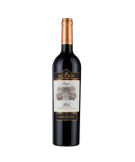 ALYAN RESERVA CAB SAUV 75CL