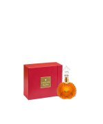 REMY MARTIN LOUIS XIII 5CL